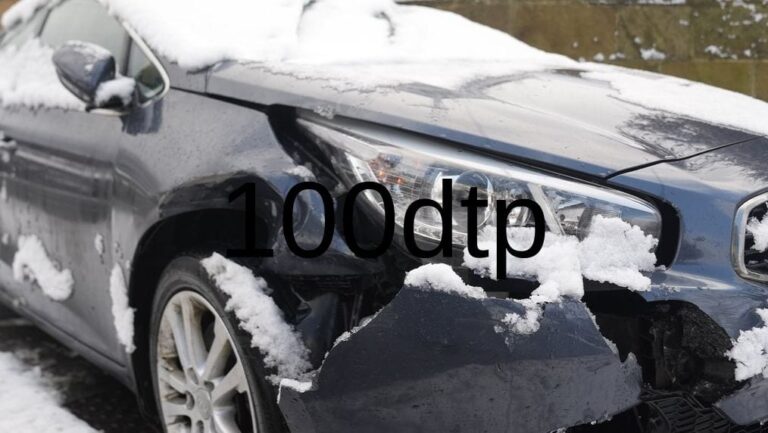 В Ніжині Чернігівської області встановлено водія, який збив собаку, та розпочато кримінальне провадження