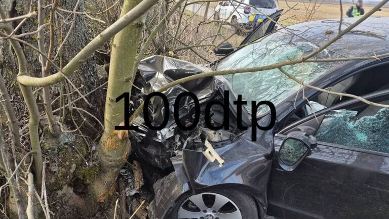 Смертельна ДТП на Житомирщині: поліцейські встановлюють обставини