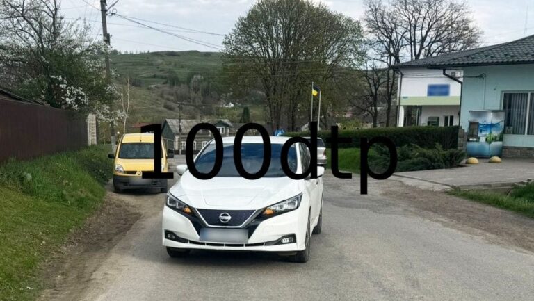 На Буковині водій Nissan Leaf збив 10-річну дівчинку