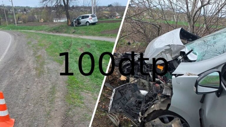 На Черкащині легковик в’їхав у дерево: травми отримали двоє людей