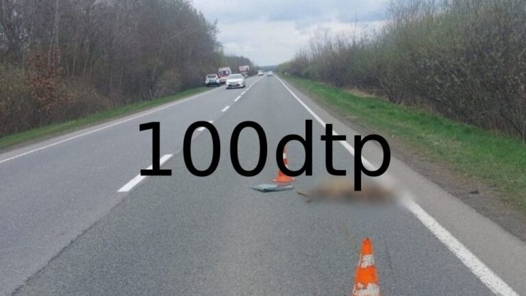 На Франківщині у ДТП загинув водій через дика тварину