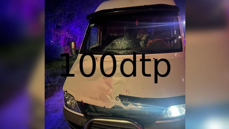 У двох ДТП загинули пішохідка та мотоцикліст